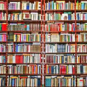 Как да намерите книга в библиотеката: препоръки за спестяване на време