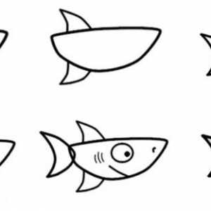 Как да нарисувате акула: майсторски класове за различни възрасти