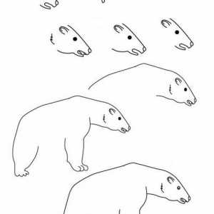 Как да нарисувате полярна мечка красиво?