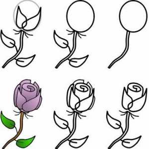Как да нарисуваме букет от рози в молив и акварел