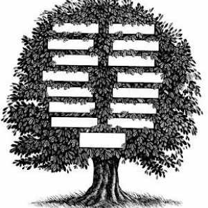 Как да се направи родословно дърво: практически съвети