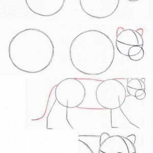 Как да нарисуваме ягуар: инструкция