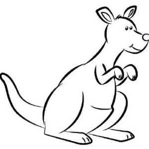 Как да се направи кенгуру в молив стъпка по стъпка?