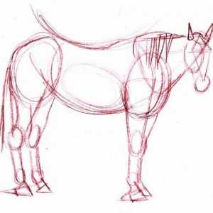 Как да нарисуваме кон с обикновен молив