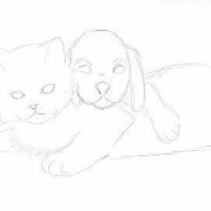 Как да нарисуваме котка и куче заедно