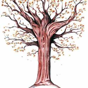 Как да нарисуваме есенно дърво на етапи