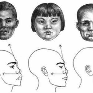 Как да нарисуваме профил на лице на момиче, дете и възрастен мъж