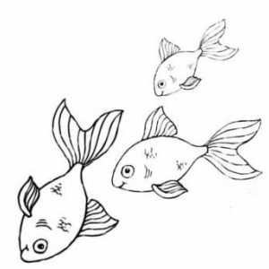 Как да нарисувате риба? Няколко варианта