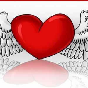 Как да нарисуваме сърце с крила: полезни препоръки