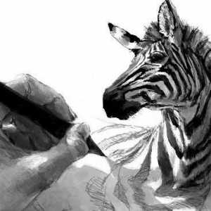 Как да нарисуваме зебра класически и хумористичен