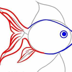 Как да се направи златна рибка с молив? Инструкция стъпка по стъпка