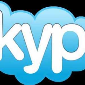 Как да настроите микрофона в Skype - няколко прости стъпки