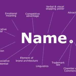 Как да назовем фирмата: примери за имена