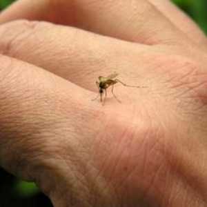 Как да облекчим ухапването от комари при деца?
