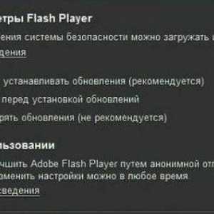 Как да актуализирате Flash Player: няколко типични ситуации