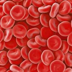 Как се показва хемоглобин в кръвните тестове: показатели, препис и норма