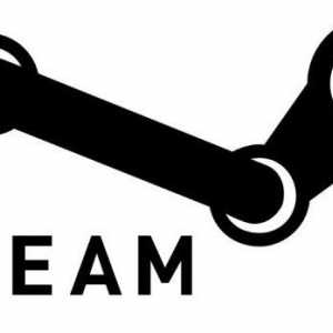 Как да изчистите историята на пиковете на Steam? 2 работни методи