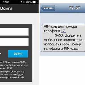 Как да платя за паркиране чрез SMS? Плащане за паркиране в Москва чрез SMS: инструкция стъпка по…