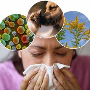 Как да различаваме алергията от настинка - каква е разликата