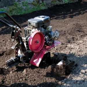 Как ореха почвата с моторно блокче? Как да орел плуг на мотоблок?