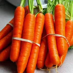 Как да напоим моркова след засаждането на семената?