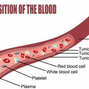Как да се намалят тромбоцитите в кръвта?