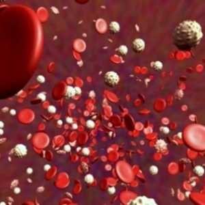 Как да увеличите броя на тромбоцитите в кръвта у дома