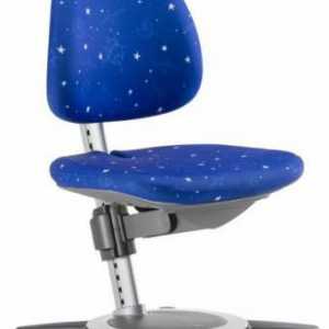 Как да изберем правилното ортопедично кресло