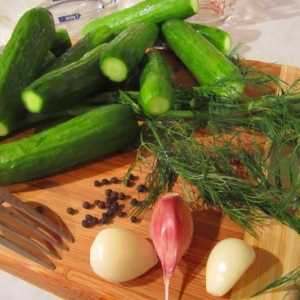 Как да се приготви саламура за леко осолена краставица? Най-добрите рецепти за домакини