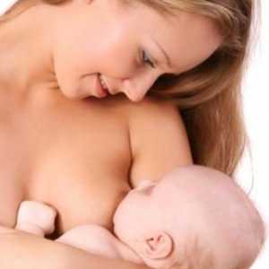 Колко правилно да поставяте бебето на гърдата? Прости съвети