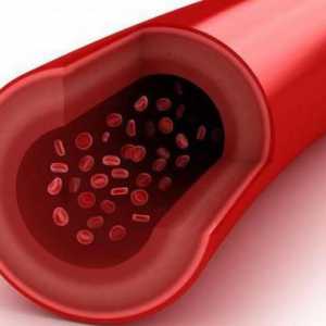 Колко правилно е да предадете кръв на холестерин и глюкоза?