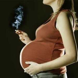 Как да спрем пушенето? Мога ли да пуша по време на бременност?