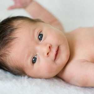 Как пост-ембрионалното развитие се развива в многоклетъчните организми