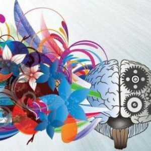 Как да развием въображението и творчеството: ефективни методи и препоръки