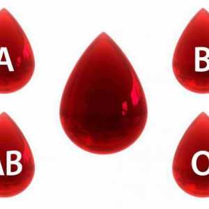 Как да решим проблема за кръвната група и Rh фактора