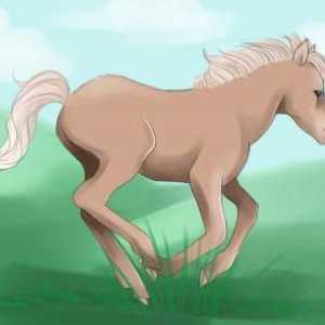Как да нарисуваме пони. Как да нарисувате `May Little Pony `. Как да нарисувате пони от…