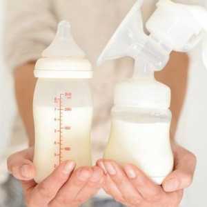 Как да изразите кърмата на майчиното мляко и ръцете: инструкции
