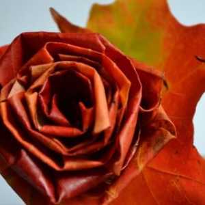 Как да направите рози от кленови листа прекрасно?