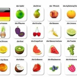 Как се казва "плодове" на немски език