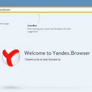 Как да промените фона на "Yandex". Преглед на браузъра