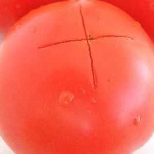 Как да оберем доматите и да ги отлепваме от семената? Съвети и трикове