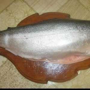 Как да сол пъстърва у дома, а също и да съберете друга червена риба