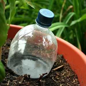 Как да си направите капково напояване от самата пластмасова бутилка?