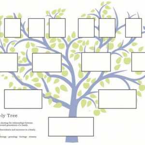 Как да създадем родословно дърво. Програмата за изграждане на родословно дърво