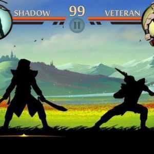 Как да станем титан в играта Shadow Fight?