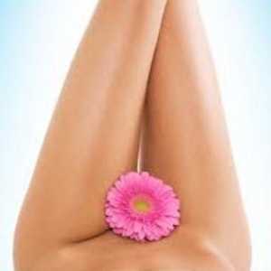 Как да премахнете дразненето след бръснене на краката, бикините и подмишниците