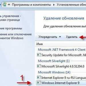 Как мога да изтрия Internet Explorer от Windows 7 или от друга система?