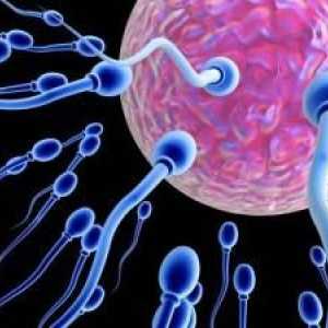 Как да подобрим спермата и да увеличим шансовете за бременност