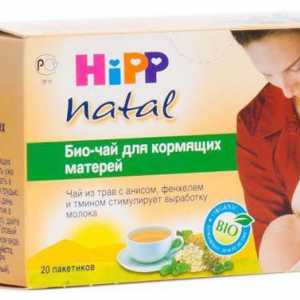 Как да използвате чай Hipp за кърмещи майки?