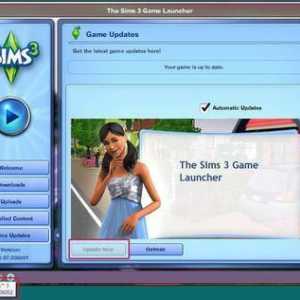 Как да инсталирате mod на "The Sims 3" - пълната инструкция